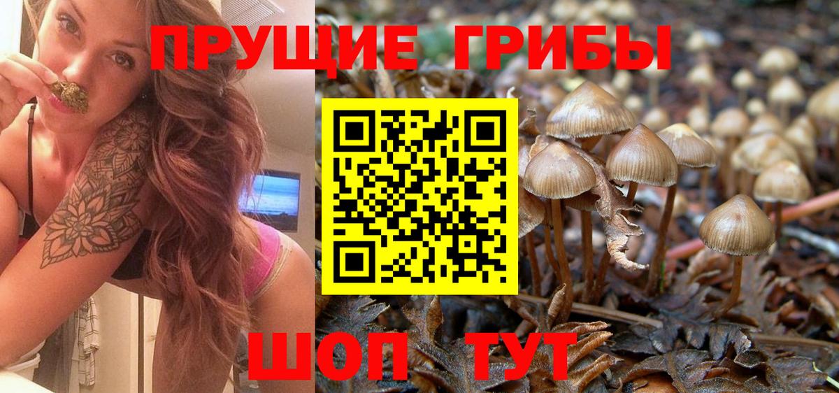 Галлюциногенные грибы MAGIC MUSHROOMS Волгодонск