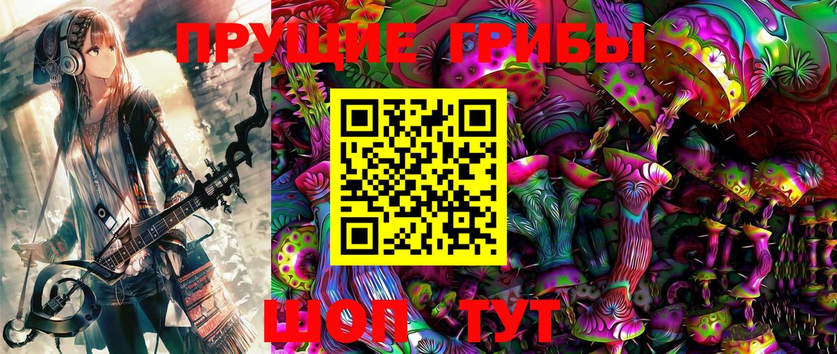 Волгодонск  Галлюциногенные грибы Psilocybine cubensis  Вход с VPN 