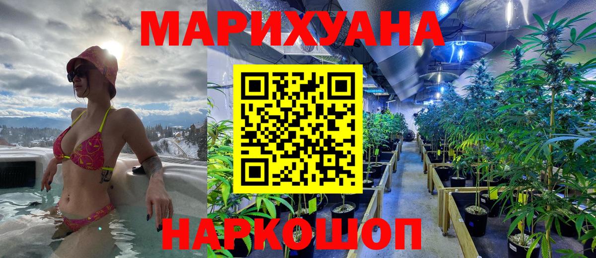 Марихуана сатива Волгодонск